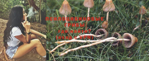 ешки Нягань