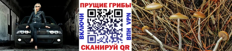 Галлюциногенные грибы мухоморы  KRAKEN маркетплейс  Орехово-Зуево  где можно купить наркотик 